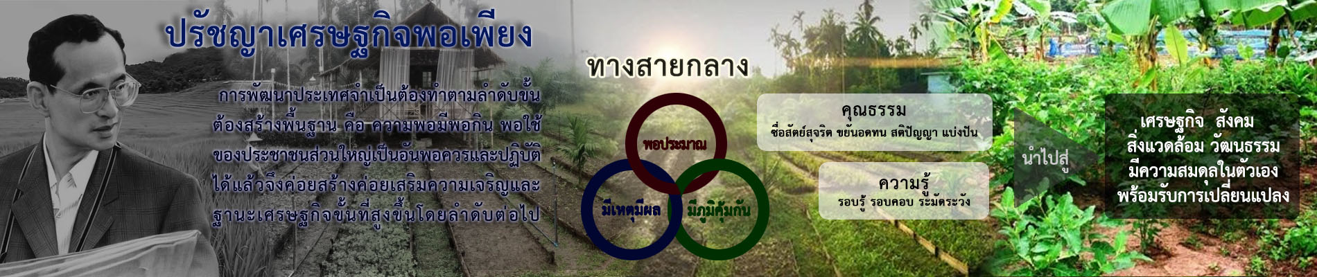 แบนเนอร์