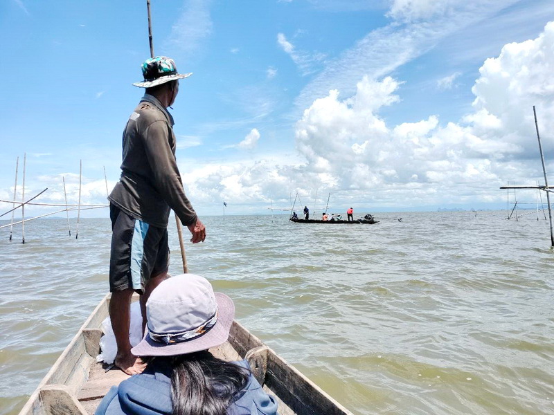 สนับสนุนพันธุ์ปลากินพืช เพื่อปล่อยลงสู่ทะเลสาบสงขลา อ.ระโนด จ.สงขลา..คลิก