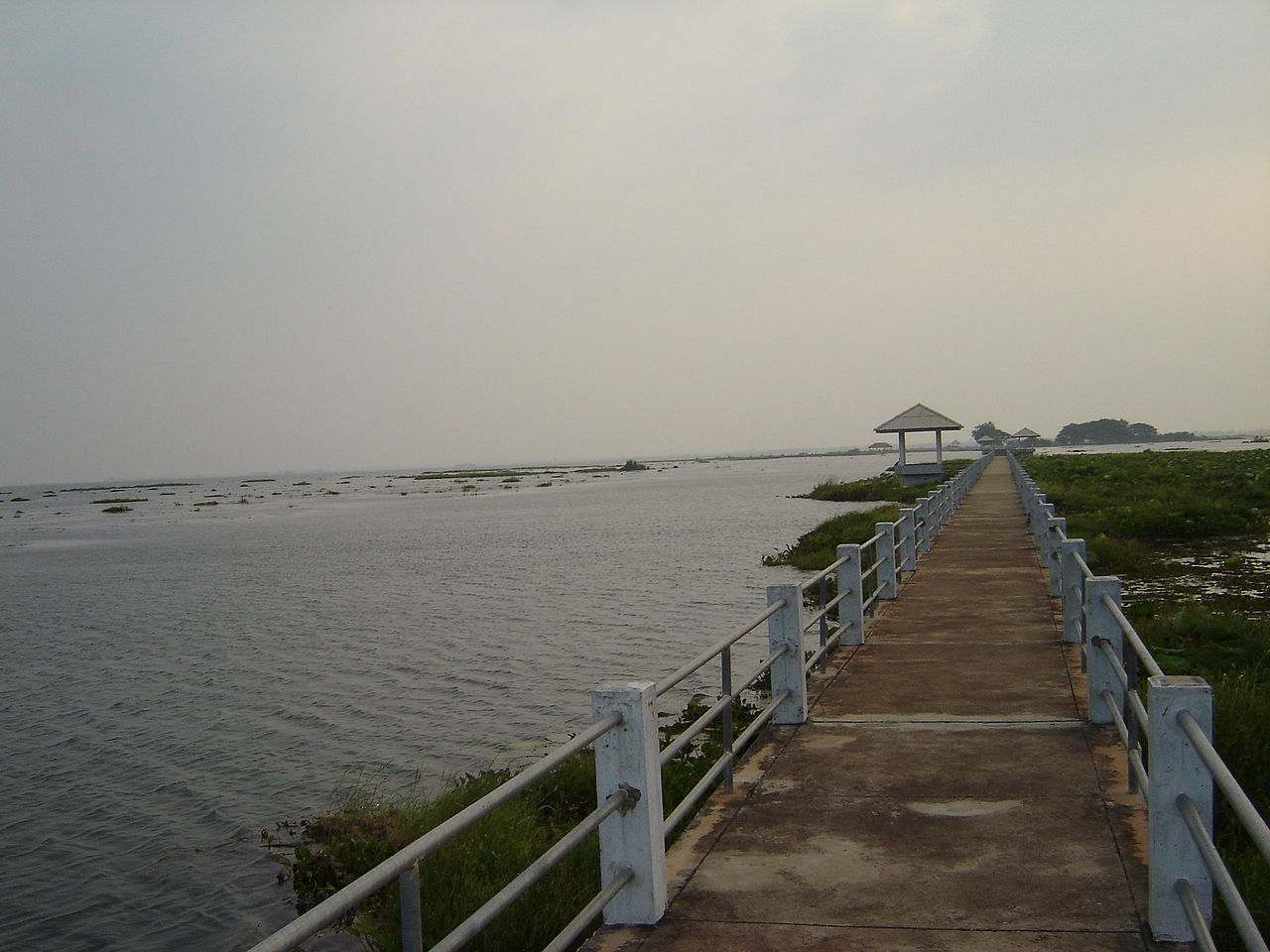 หนองหาร