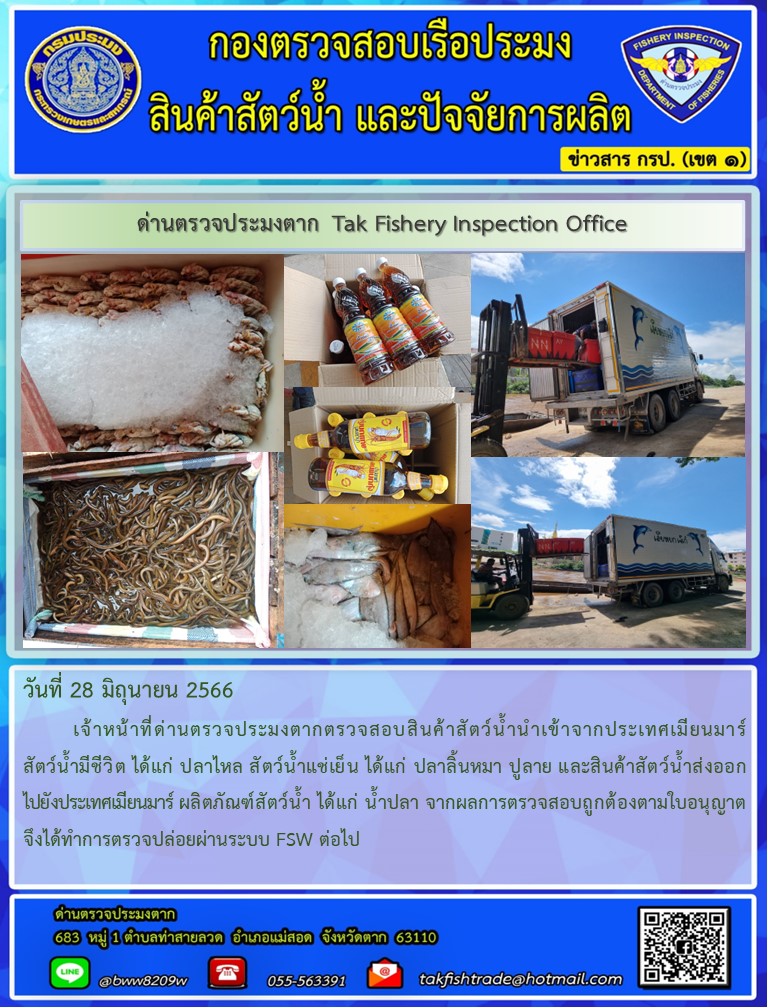 วันที่ 28 มิถุนายน 2566           เจ้าหน้าที่ด่านตรวจประมงตากตรวจสอบสินค้าสัตว์น้ำนำเข้าจากประเทศเมียนมาร์ สัตว์น้ำมีชีวิต ได้แก่ ปลาไหล สัตว์น้ำแช่เย็น ได้แก่ ปลาลิ้นหมา ปูลาย และสินค้าสัตว์น้ำส่งออกไปยังประเทศเมียนมาร์ ผลิตภัณฑ์สัตว์น้ำ ได้แก่ น้ำปลา จากผลการตรวจสอบถูกต้องตามใบอนุญาต จึงได้ทำการตรวจปล่อยผ่านระบบ FSW ต่อไป..คลิก