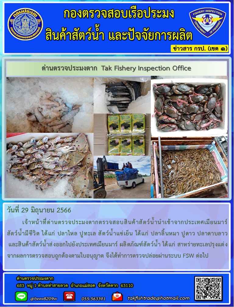 วันที่ 29 มิถุนายน 2566           เจ้าหน้าที่ด่านตรวจประมงตากตรวจสอบสินค้าสัตว์น้ำนำเข้าจากประเทศเมียนมาร์ สัตว์น้ำมีชีวิต ได้แก่ ปลาไหล ปูทะเล สัตว์น้ำแช่เย็น ได้แก่ ปลาลิ้นหมา ปูดาว ปลาดาบลาว และสินค้าสัตว์น้ำส่งออกไปยังประเทศเมียนมาร์ ผลิตภัณฑ์สัตว์น้ำ ได้แก่ สาหร่ายทะเลปรุงแต่ง จากผลการตรวจสอบถูกต้องตามใบอนุญาต จึงได้ทำการตรวจปล่อยผ่านระบบ FSW ต่อไป..คลิก