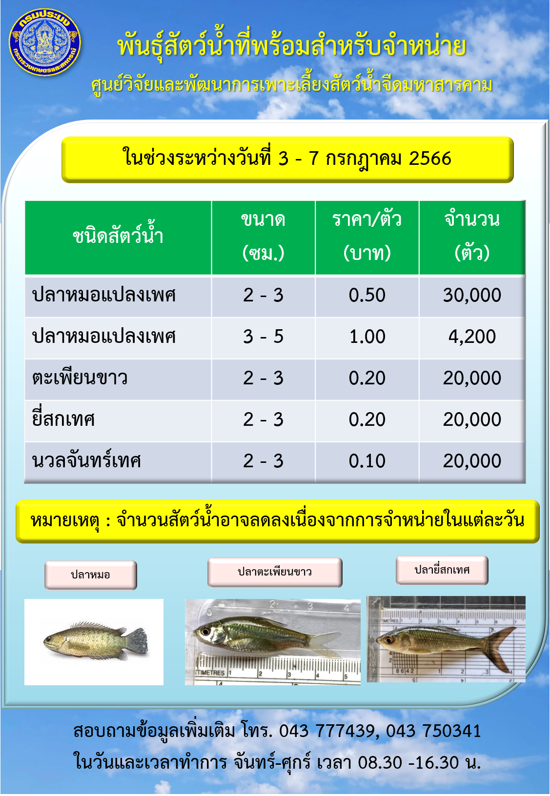 พันธุ์สัตว์น้ำที่พร้อมสำหรับจำหน่าย ระหว่างวันที่ 3 – 7 กรกฎาคม 2566..คลิก