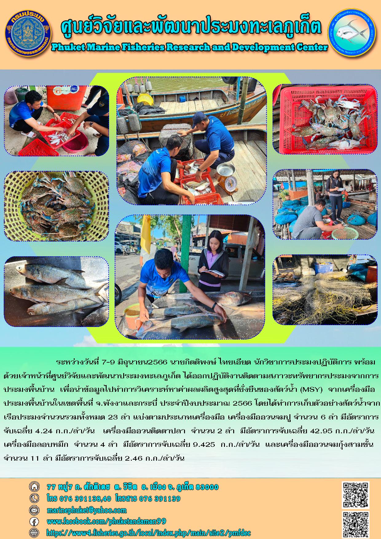 ระหว่างวันที่ 7-9 มิถุนายน 2566 นายกิตติพงษ์ ไทยเอียด นักวิชาการประมงปฏิบัติการ พร้อมด้วยเจ้าหน้าที่ศูนย์วิจัยและพัฒนาประมงทะเลภูเก็ต ได้ออกปฏิบัติงานติดตามสภาวะทรัพยากรประมงจากการประมงพื้นบ้าน เพื่อนำข้อมูลไปทำการวิเคราะห์หาค่าผลผลิตสูงสุดที่ยั่งยืนของสัตว์น้ำ (MSY) จากเครื่องมือประมงพื้นบ้านในเขตพื้นที่ จ.พังงาและกระบี่ ประจำปีงบประมาณ 2566 โดยได้ทำการเก็บตัวอย่างสัตว์น้ำจากเรือประมงจำนวนรวมทั้งหมด 23 ลำ แบ่งตามประเภทเครื่องมือ เครื่องมืออวนจมปู จำนวน 6 ลำ มีอัตราการจับเฉลี่ย 4.24 ก.ก./ลำ/วัน เครื่องมืออวนติดตาปลา จำนวน 2 ลำ มีอัตราการจับเฉลี่ย 42.95 ก.ก./ลำ/วัน เครื่องมือลอบหมึก จำนวน 4 ลำ มีอัตราการจับเฉลี่ย 9.425 ก.ก./ลำ/วัน และเครื่องมืออวนจมกุ้งสามชั้น จำนวน 11 ลำ มีอัตราการจับเฉลี่ย 2.46 ก.ก./ลำ/วัน..คลิก