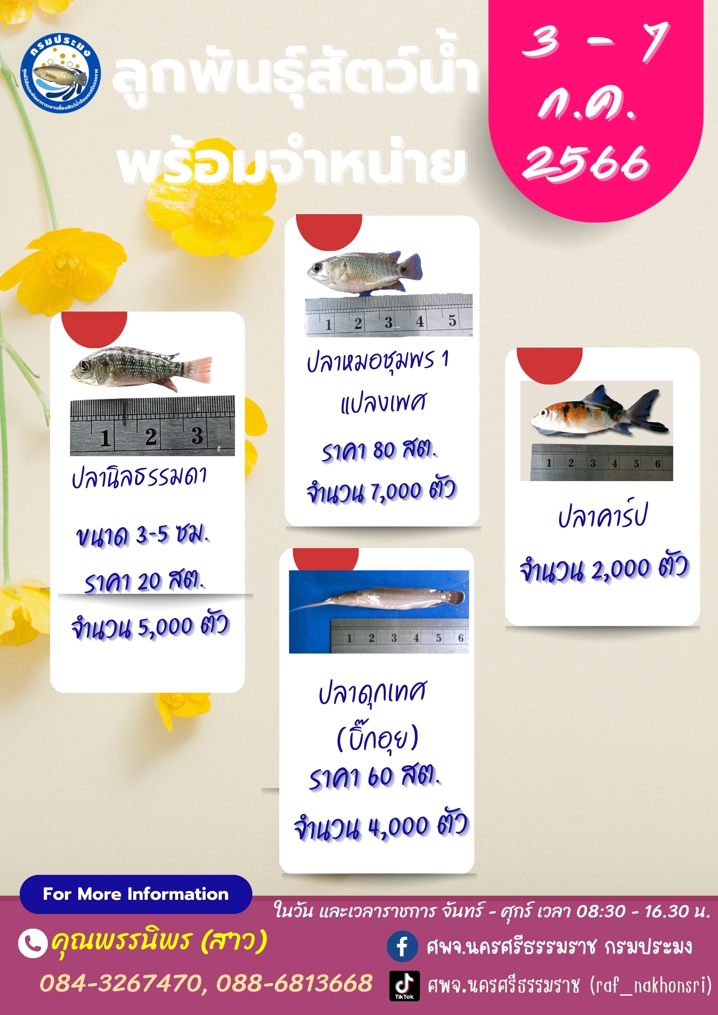 ลูกพันธุ์วัตว์น้ำพร้อมจำหน่าย..คลิก