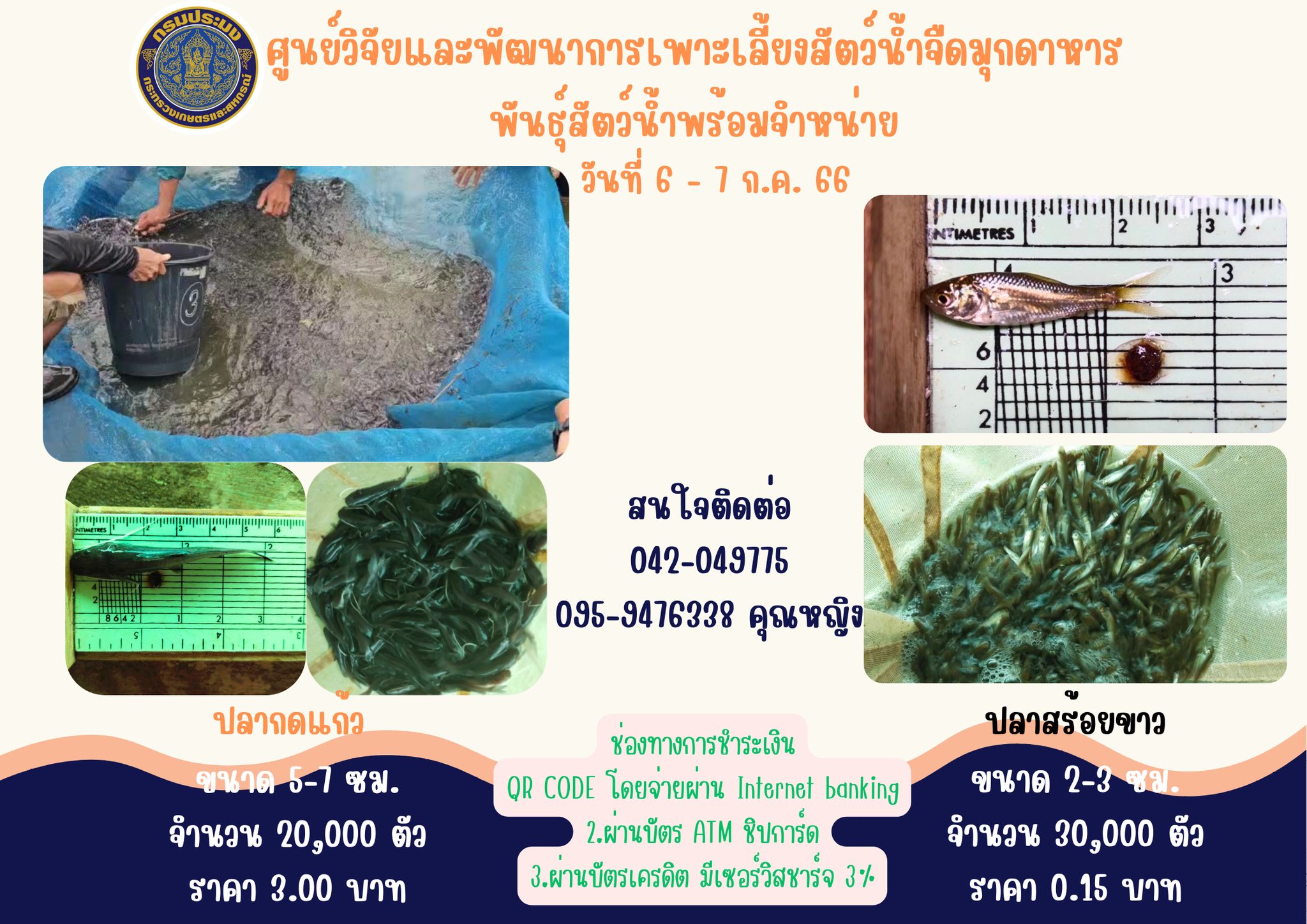 พันธุ์สัตว์น้ำที่พร้อมสำหรับจำหน่ายระหว่างวันที่ 6-7 กรกฎาคม 2566..คลิก