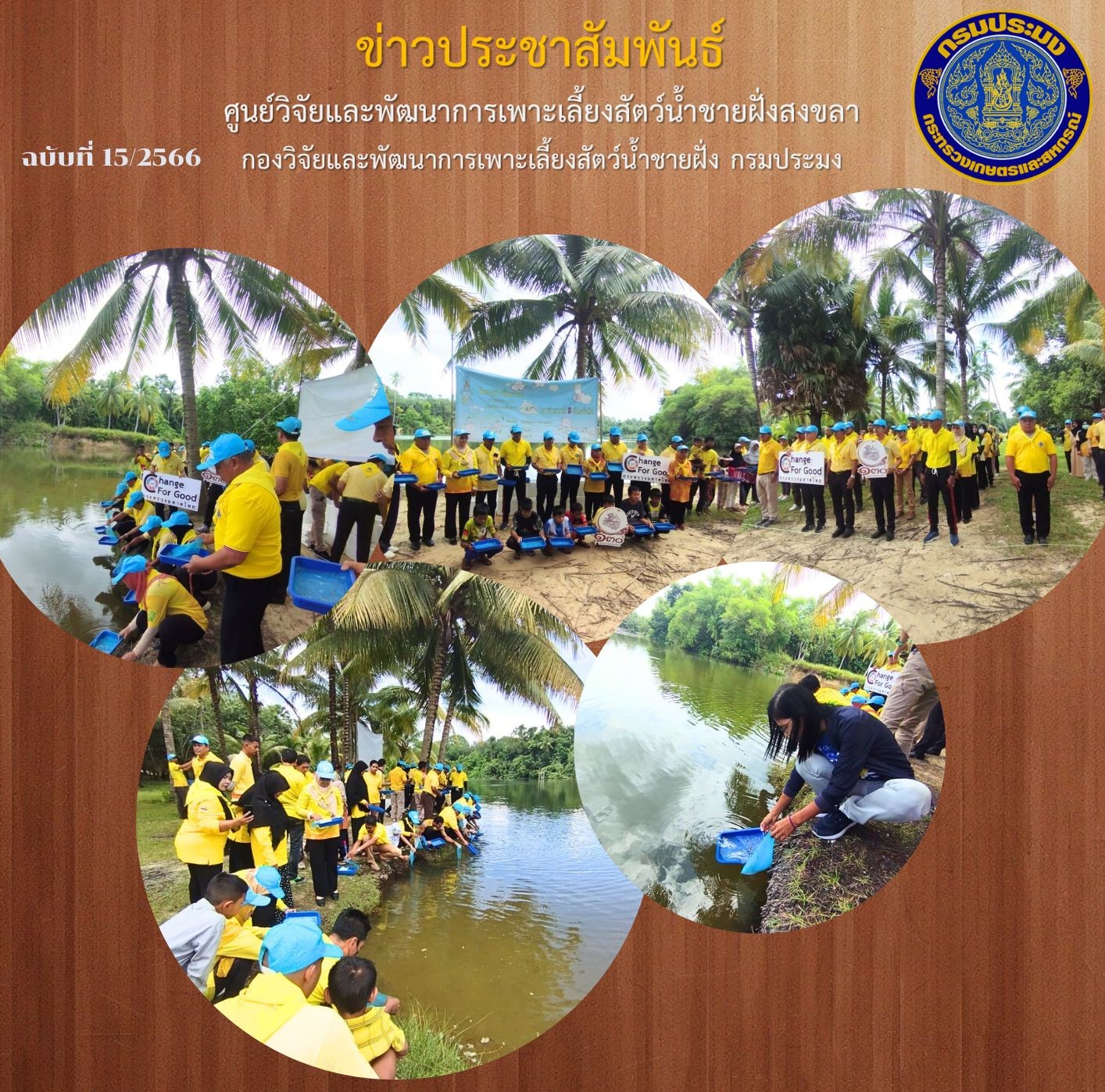 วันที่ 6 กรกฏาคม 2566 นางสาวปริศนา คลิ้งสุขคล้าย ผู้อำนวยการศูนย์วิจัยและพัฒนาการเพาะเลี้ยงสัตว์น้ำชายฝั่งสงขลา พร้อมด้วยนายอุกฤษฎ์ ชูสุวรรณ นักวิชาการประมงปฎิบัติการ และนายนพพล พันธเมธี นักวิชาการประมงปฎิบัติการ ส่งมอบพันธุ์ปูทะเล..คลิก