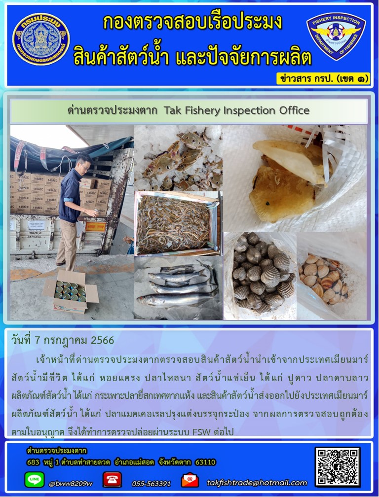 วันที่ 7 กรกฎาคม 2566           เจ้าหน้าที่ด่านตรวจประมงตากตรวจสอบสินค้าสัตว์น้ำนำเข้าจากประเทศเมียนมาร์ สัตว์น้ำมีชีวิต ได้แก่ หอยแครง ปลาไหลนา สัตว์น้ำแช่เย็น ได้แก่ ปูดาว ปลาดาบลาว ผลิตภัณฑ์สัตว์น้ำ ได้แก่ กระเพาะปลายี่สกเทศตากแห้ง และสินค้าสัตว์น้ำส่งออกไปยังประเทศเมียนมาร์ ผลิตภัณฑ์สัตว์น้ำ ได้แก่ ปลาแมคเคอเรลปรุงแต่งบรรจุกระป๋อง จากผลการตรวจสอบถูกต้องตามใบอนุญาต จึงได้ทำการตรวจปล่อยผ่านระบบ FSW ต่อไป..คลิก