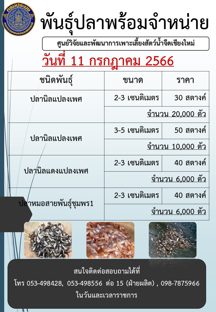 จำหน่ายพันธุ์ปลา วันที่ 11 กรกฎาคม 2566