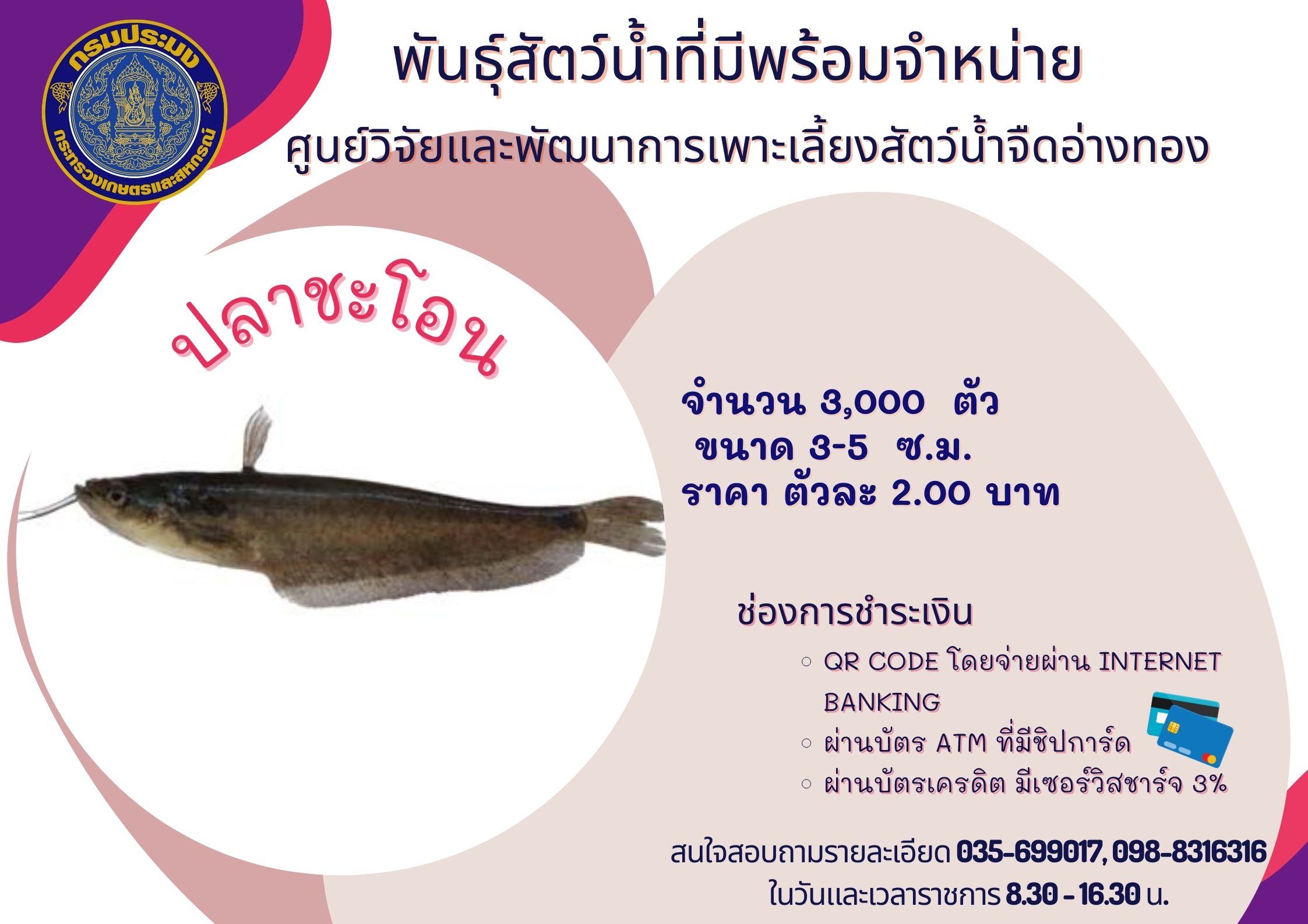 พันธุ์สัตว์น้ำที่มีพร้อมจำหน่าย..คลิก