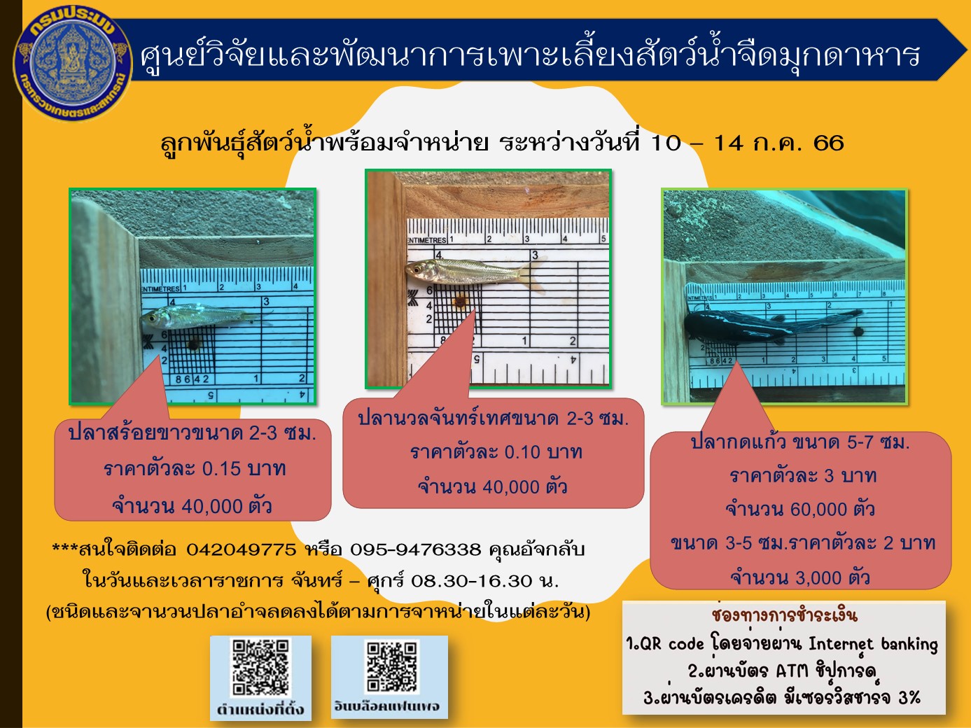ลูกพันธุ์สัตว์น้ำที่พร้อมจำหน่าย ระหว่างวันที่ 10-14 กรกฎาคม 2566..คลิก