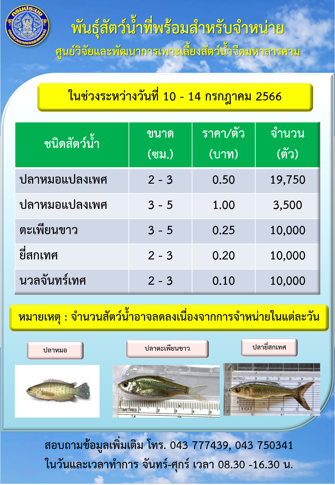 พันธุ์สัตว์น้ำที่พร้อมสำหรับจำหน่าย ระหว่างวันที่ 10 – 14 กรกฎาคม 2566..คลิก