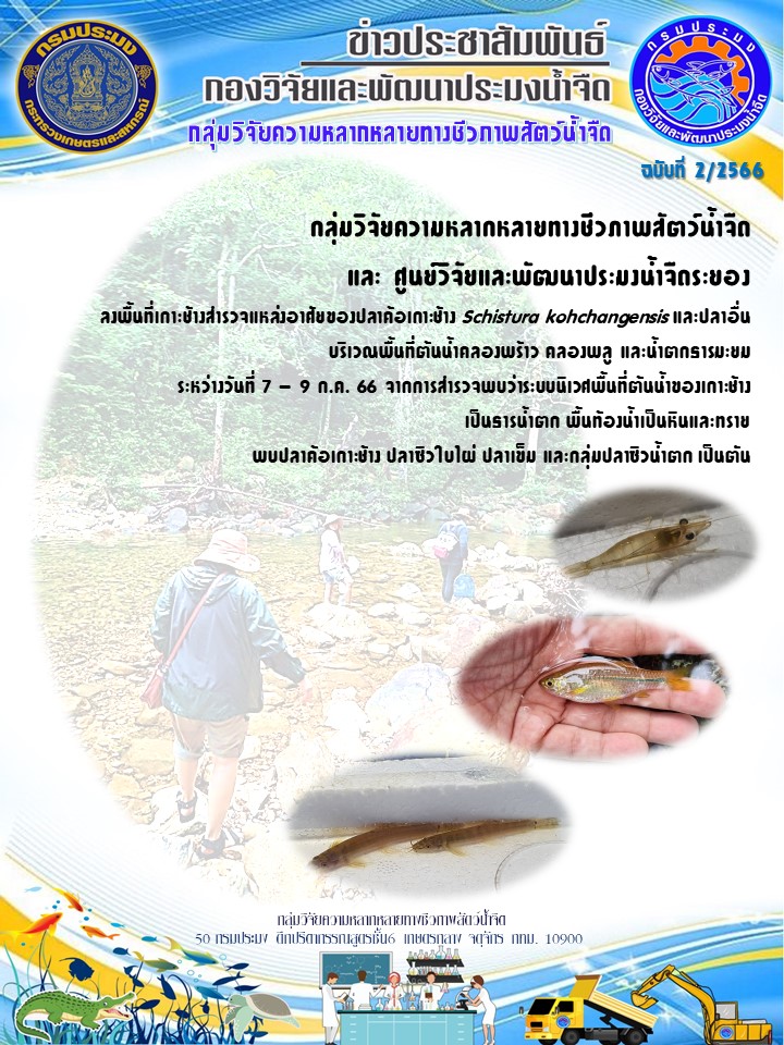 กลุ่มวิจัยความหลากหลายทางชีวภาพสัตว์น้ำจืดและศูนย์วิจัยและพัฒนาประมงน้ำจืดระยองลงพื้นที่เกาะช้างสำรวจแหล่งอาศัยของปลาค้อเกาะช้าง Schistura kohchangensis และปลาอื่นบริเวณพื้นที่ต้นน้ำคลองพร้าว คลองพลู และน้ำตกธารมะยม ระหว่างวันที่ 7-9 ก.ค. 66..คลิก