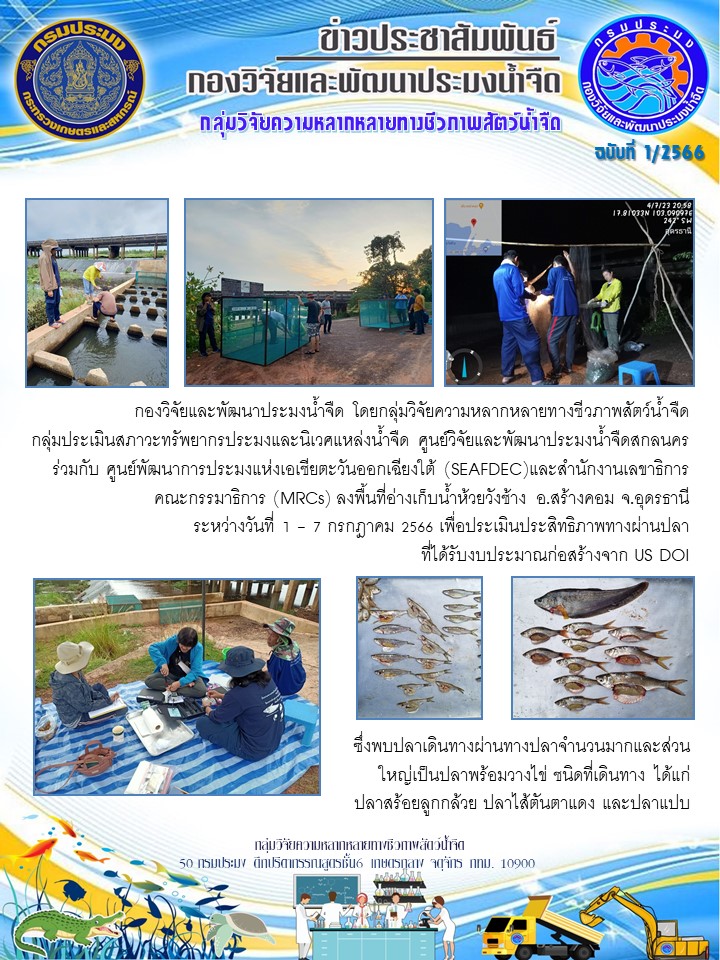 กองวิจัยและพัฒนาประมงน้ำจืดโดยกลุ่มวิจัยความหลากหลายทางชีวภาพสัตว์น้ำจืด กลุ่มประเมินสภาวะทรัพยากรประมงและนิเวศแหล่งน้ำจืด และศูนย์วิจัยและพัฒนาประมงน้ำจืดสกลนครร่วมกับศูนย์พัฒนาการประมงแห่งเอเชียตะวันออกเฉียงใต้ (SEAFDEC) และสำนักงานเลขาธิการคณะกรรมาธิการ (MRCs) ลงพื้นที่อ่างเก็บน้ำห้วยวังช้าง อ.สร้างคอม จ.อุดรธานี ระหว่างวันที่ 1-7 ก.ค. 2566 เพื่อประเมินประสิทธิภาพทางผ่านปลาที่ได้รับงบประมาณก่อสร้างจาก US DOI..คลิก