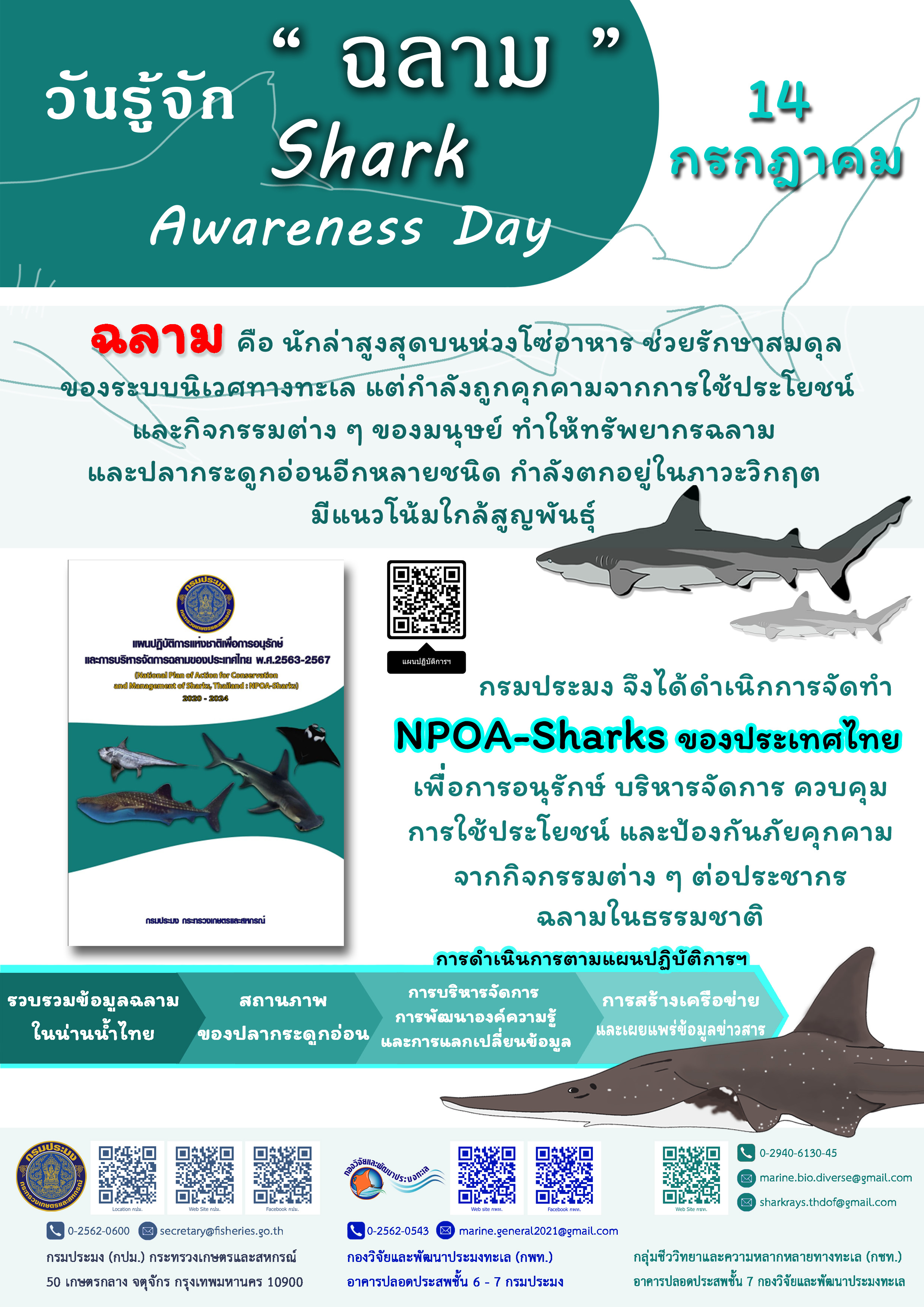 ด้วยวันที่ 14 กรกฎาคม ของทุกปี เป็นวันรู้จักฉลาม (Shark Awareness Day) เพื่อสร้างความรู้ ความเข้าใจ และแสดงให้เห็นถึงความสำคัญของฉลามที่มีต่อระบบนิเวศทางทะเล และสร้างความตระหนักถึงภัยคุกคาม และการอนุรักษ์ฉลามของโลก ประเทศไทยได้มีการบริหารจัดการทรัพยากร และคงความหลากหลายของชนิดพันธุ์ฉลาม และปลากระดูกอ่อนอื่นๆ โดยกรมประมงเป็นหน่วยงานหลักได้ดำเนินการจัดทำแผนปฏิบัติการแห่งชาติเพื่อการอนุรักษ์และบริหารจัดการฉลามของประเทศไทย (National Plan of Action for Conversation and Management of Sharks, Thailand: NPOA-Sharks) มีเป้าหมายเพื่อการอนุรักษ์การบริหารจัดการ และควบคุมการใช้ประโยชน์ทรัพยากรฉลามให้เกิดความยั่งยืน และรักษาสมดุลในระบบนิเวศทางทะเล..คลิก
