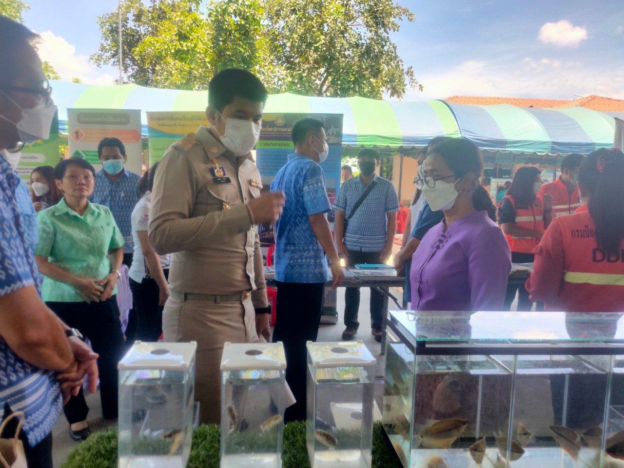 ร่วมให้ความรู้ด้านการเพาะเลี้ยงสัตว์น้ำ และจัดนิทรรศการปลาสวยงาม ในโครงการ..คลิก