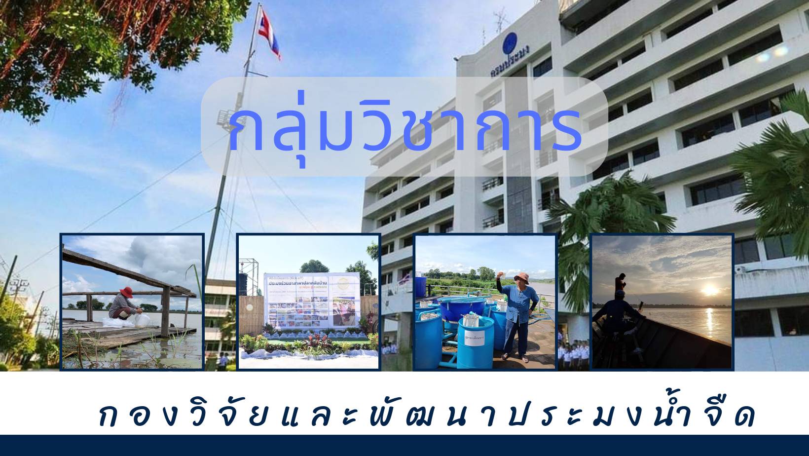 กลุ่มวิชาการ