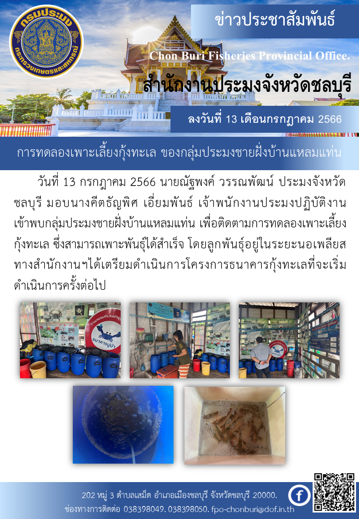 การทดลองเพาะเลี้ยงกุ้งทะเล ของกลุ่มประมงชายฝั่งบ้านแหลมแท่น..คลิก