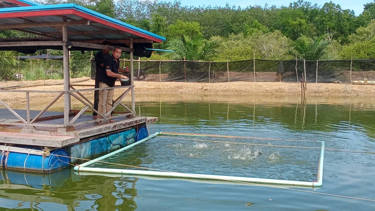 สำนักงานประมงจังหวัดสตูล ตรวจเยี่ยมติดตามผลการดำเนินงานกิจกรรมศูนย์เครือข่าย ศพก. ด้านประมง อำเภอท่าแพ และเก็บข้อมูลเกษตรกร..คลิก