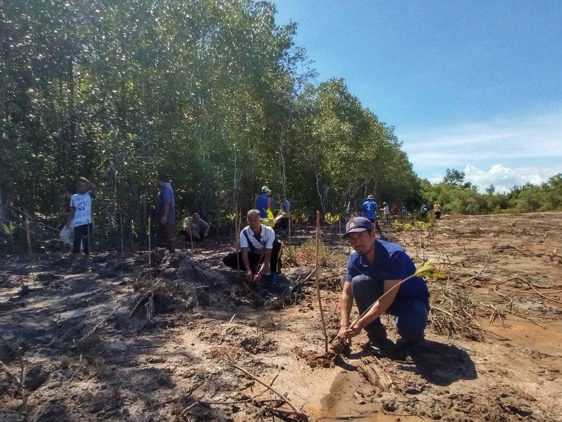 สำนักงานประมงจังหวัดสตูลเข้าร่วมกิจกรรม ฟื้นฟูป่าชายเลนเพื่อเป็นแหล่งอนุบาลสัตว์น้ำ และปล่อยพันธุ์สัตว์น้ำ ตำบลสาคร อำเภอท่าแพ จังหวัดสตูล..คลิก