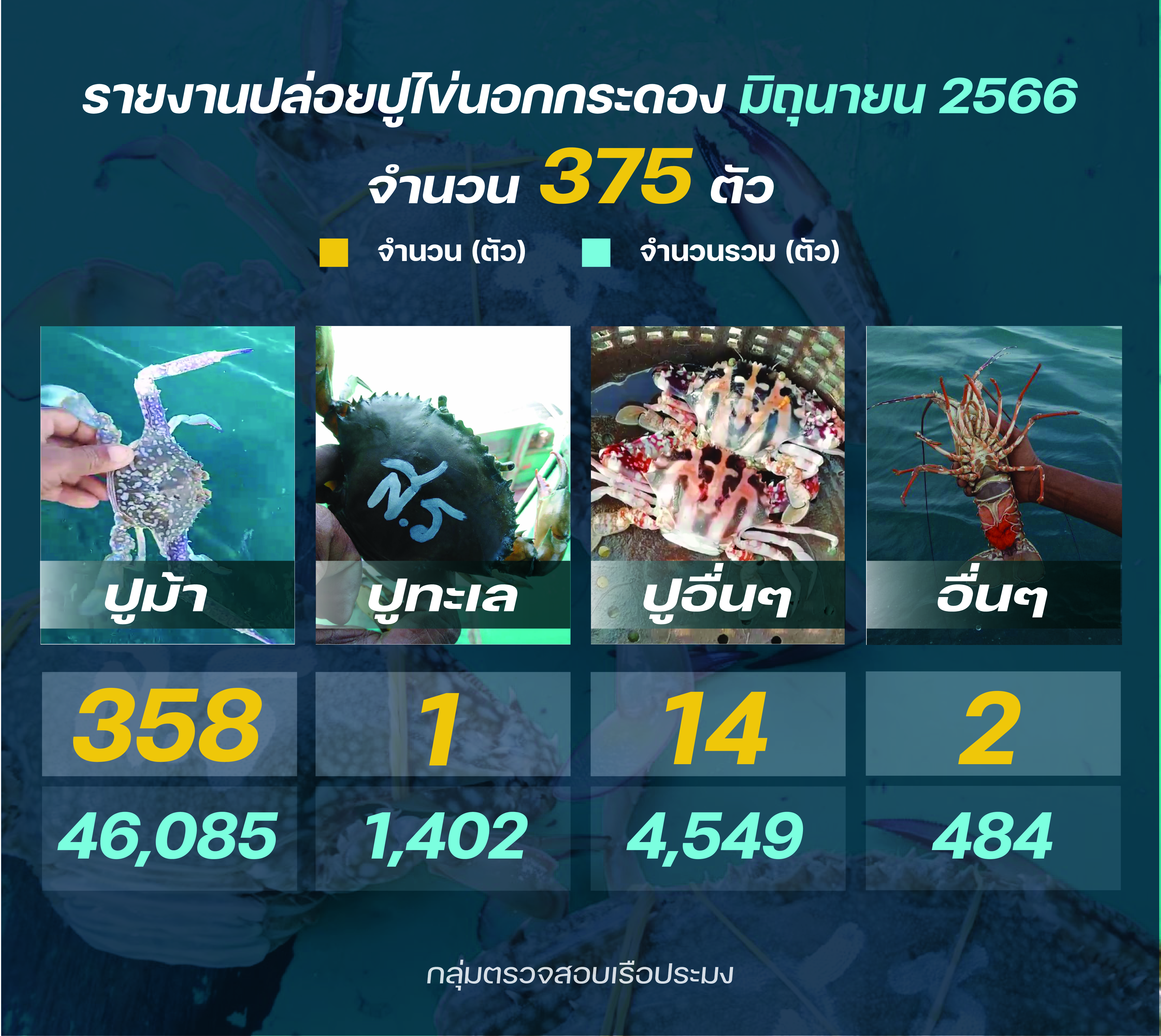 ชาวประมง ปล่อยปูไข่ มิถุนายน 2566..คลิก