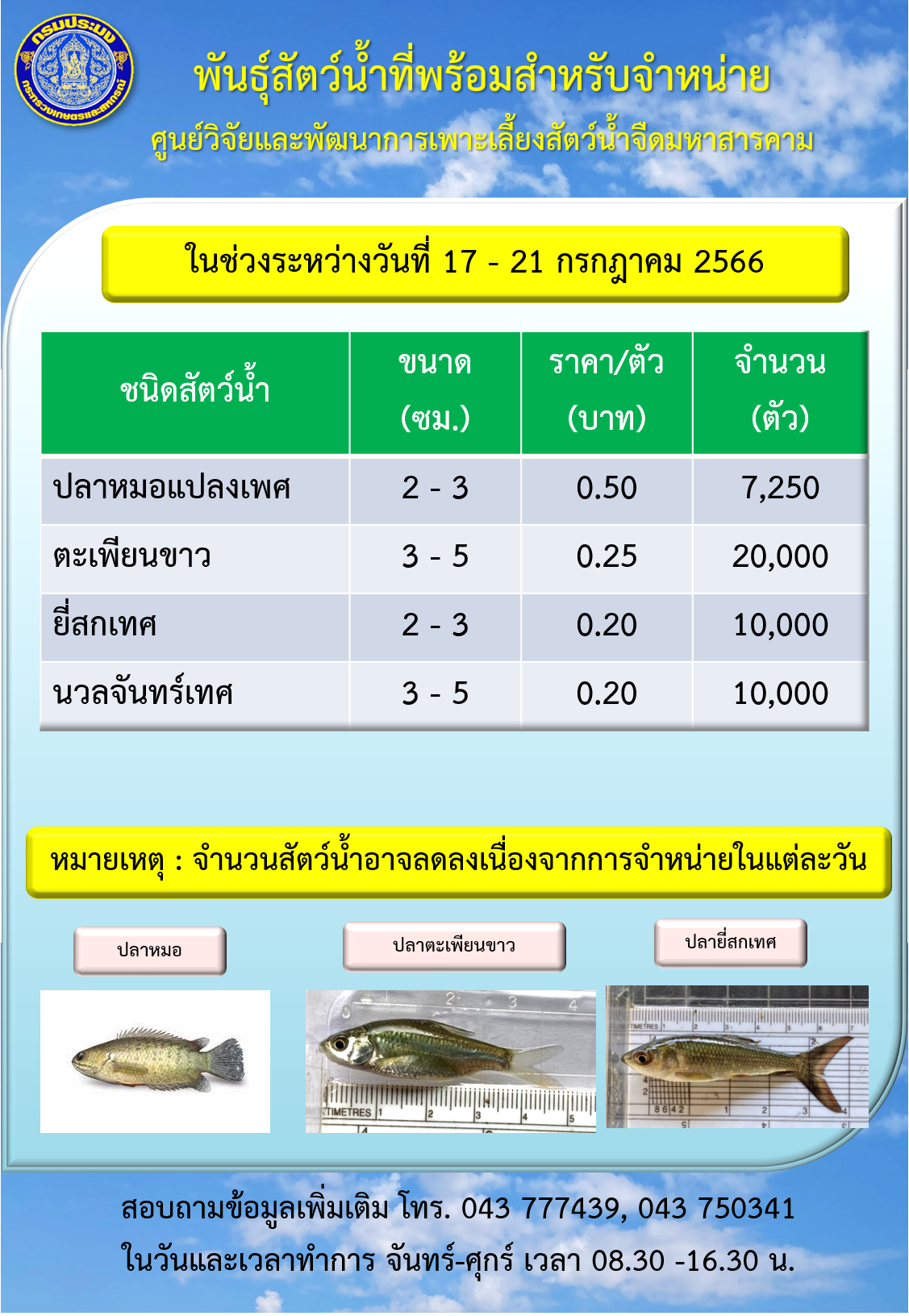 พันธุ์สัตว์น้ำที่พร้อมสำหรับจำหน่าย ระหว่างวันที่ 17 – 21 กรกฎาคม 2566..คลิก