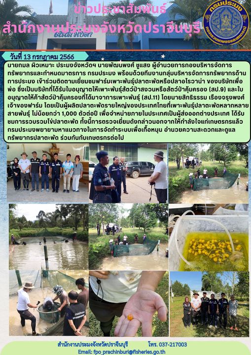 ข่าวประชาสัมพันธ์ ลงพื้นที่ตรวจเยี่ยมเยียมฟาร์มปลาตะพัด (อโรวาน่า) จังหวัดปราจีนบุรี..คลิก