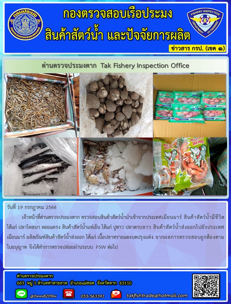 วันที่ 19 กรกฎาคม 2566           เจ้าหน้าที่ด่านตรวจประมงตาก ตรวจสอบสินค้าสัตว์น้ำนำเข้าจากประเทศเมียนมาร์ สินค้าสัตว์น้ำมีชีวิต ได้แก่ ปลาไหลนา หอยแครง สินค้าสัตว์น้ำแช่เย็น ได้แก่ ปูดาว ปลาดาบลาว สินค้าสัตว์น้ำส่งออกไปยังประเทศเมียนมาร์ ผลิตภัณฑ์สินค้าสัตว์น้ำส่งออก ได้แก่ เนื้อปลาทรายแดงบดปรุงแต่ง จากผลการตรวจสอบถูกต้องตามใบอนุญาต จึงได้ทำการตรวจปล่อยผ่านระบบ FSW ต่อไป..คลิก