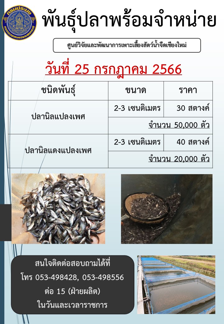 พันธุ์ปลาพร้อมจำหน่าย วันที่ 25 กรกฏาคม 2566