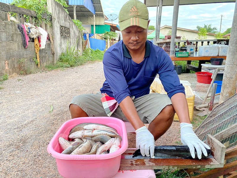 ดำเนินการประเมินสภาวะทรัพยากรสัตว์น้ำ ในพื้นที่ทะเลน้อยจังหวัดพัทลุง