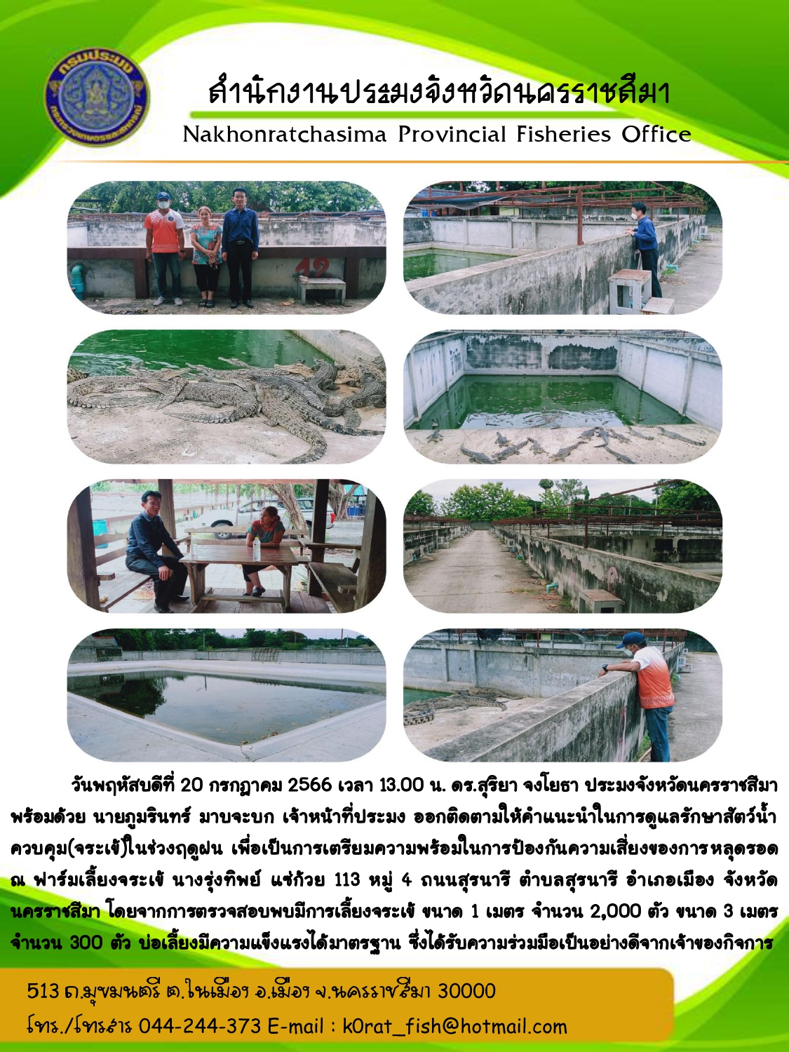 ประมงจังหวัดนครราชสีมาตรวจเยี่ยมให้คำแนะนำการดูแลสัตว์น้ำควบคุม (จระเข้) ในช่วงฤดูฝน ฟาร์มนางรุ่งทิพย์ แซ่ก้วย อำเภอเมืองนครราชสีมา..คลิก