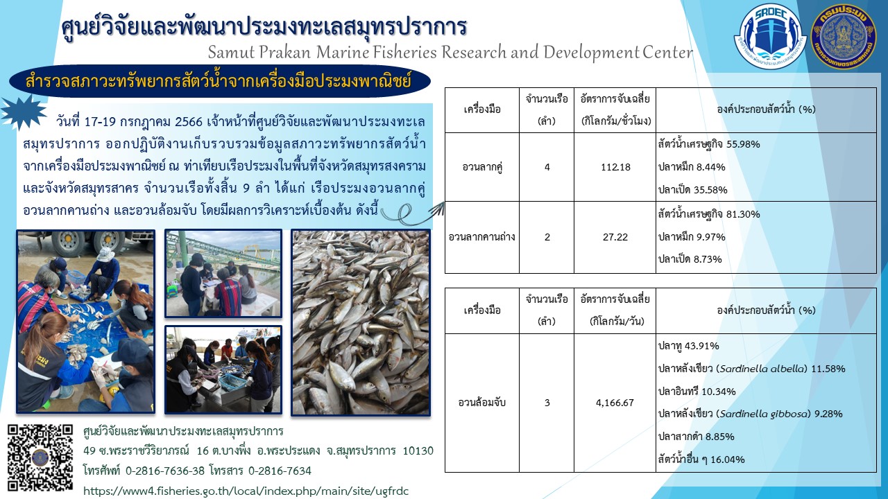 เจ้าหน้าที่ศูนย์วิจัยและพัฒนาประมงทะเลสมุทรปราการ ออกปฏิบัติงานเก็บรวบรวมข้อมูลสภาวะทรัพยากรสัตว์น้ำจากเครื่องมือประมงพาณิชย์ ณ ท่าเทียบเรือประมงในพื้นที่จังหวัดสมุทรสงครามและจังหวัดสมุทรสาคร..คลิก