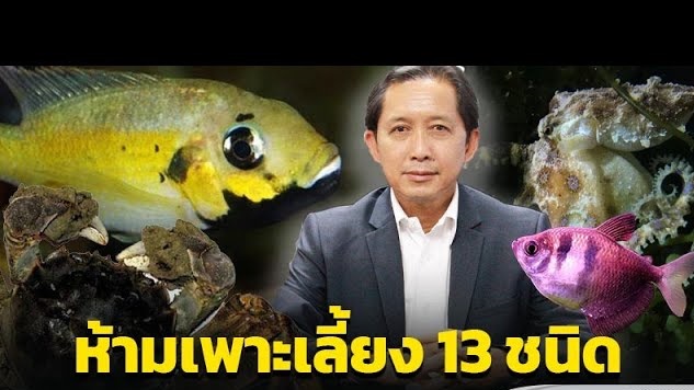 สัตว์น้ำต่างถิ่น 2..คลิก