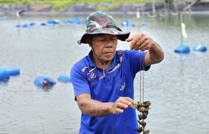 เจ้าหน้าที่สำนักงาน กปร. และเจ้าหน้าที่ศูนย์ศึกษาการพัฒนาอ่าวคุ้งกระเบนฯ  ประชุมหารือแนวทางการจัดทำสารคดีเชิงท่องเที่ยวการพัฒนาตามรอยพระราชดําริ..คลิก