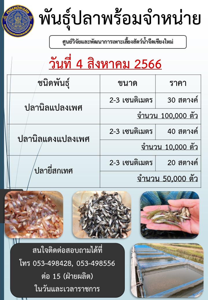 พันธุ์ปลาพร้อมจำหน่าย วันที่ 4 สิงหาคม 2566