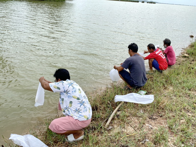 สนับสนุนพันธุ์ปลากินพืช เพื่อปล่อยลงสู่ทะเลสาบสงขลา อ.บางแก้ว จ.พัทลุง..คลิก