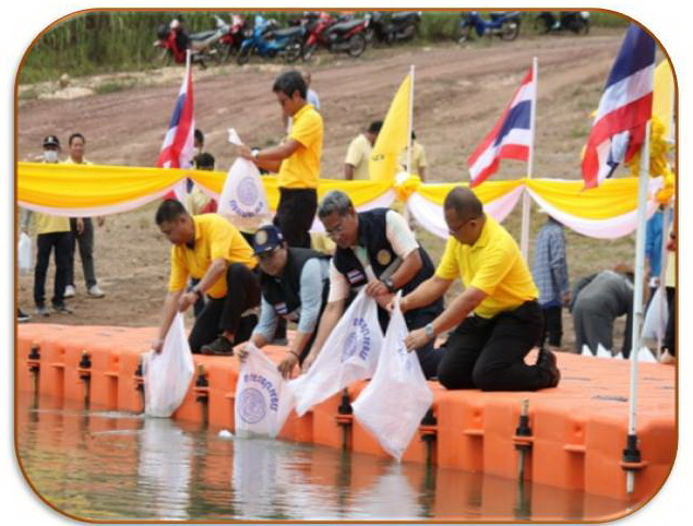 ปล่อยพันธุ์ปลาเพื่อรักษาระบบนิเวศในอ่างเก็บน้ำกรมชลประทาน (เขื่อนแควน้อยบำรุงแดน)..คลิก