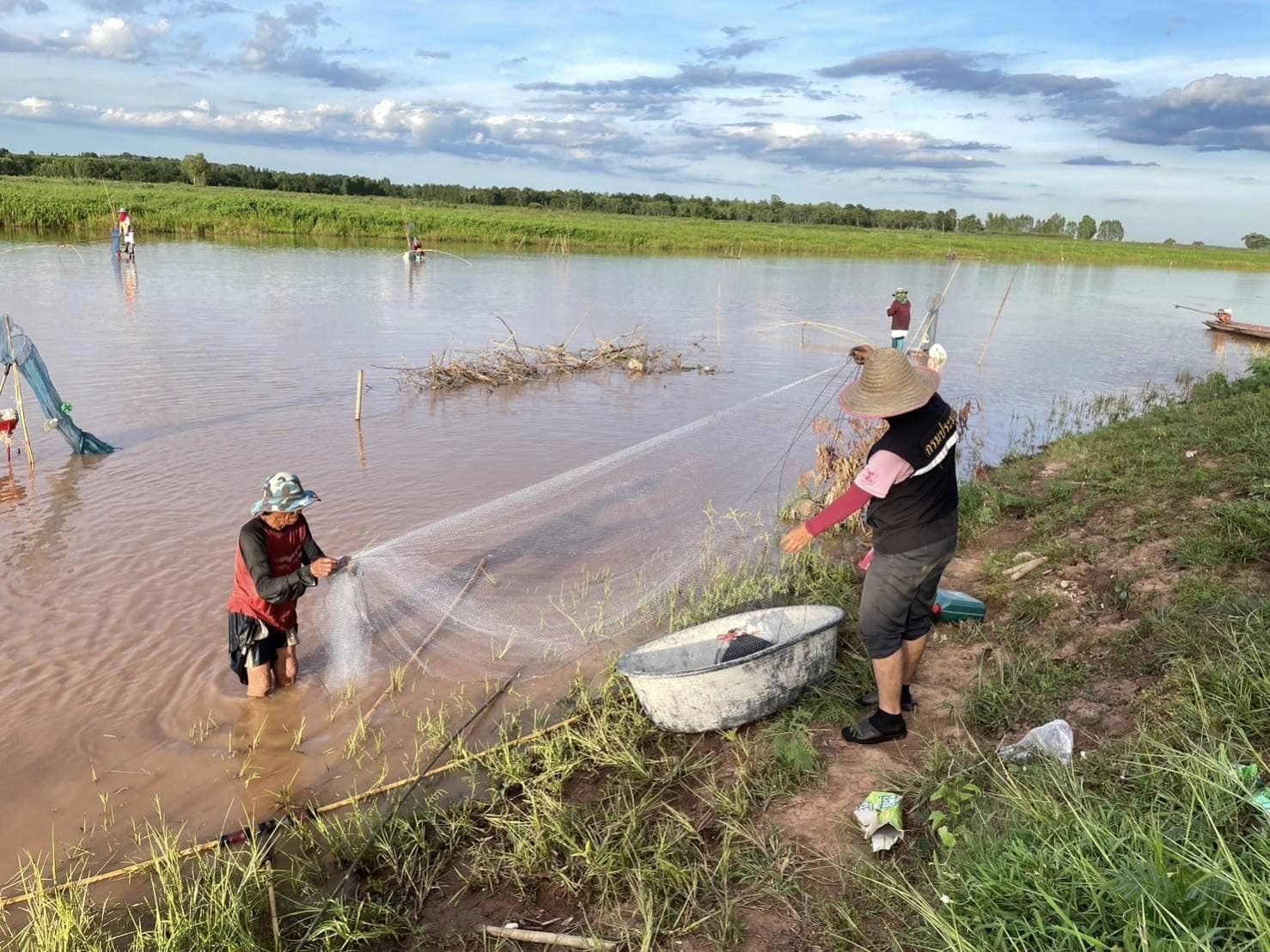 วันที่ 27 กรกฎาคม 2566 เวลา 17.00 น.  ประมงจังหวัดหนองบัวลำภูตรวจเยี่ยมการควบคุมการทำการประมงในฤดูน้ำแดงอ่างเก็บน้ำเขื่อนอุบลรัตน์พื้นที่อำเภอโนนสังโดยมีประมงอำเภอโนนสังและผู้ใหญ่บ้านในพื้นที่ร่วมตรวจการประมง สภาวะการณ์ทำการประมงโดยทั่วไปวันนี้มีกระแสน้ำแดงที่ไหลมาจากลำพะเนียงและลำน้ำพองลดลง ชาวประมงที่พบใช้เครื่องมือแหและยอขนาดเล็กเป็นไปตามประกาศกรมประมงที่อนุญาตให้ทำได้ ปลาที่ชาวประมงจับได้ส่วนใหญ่เป็นปลาสร้อยขาวในท้องไม่ค่อยพบไข่ สันนิษฐานว่าอาจวางไข่ในช่วงน้ำแดงที่ผ่านมาและบางส่วนยังไม่ขึ้นมาวางไข่..คลิก