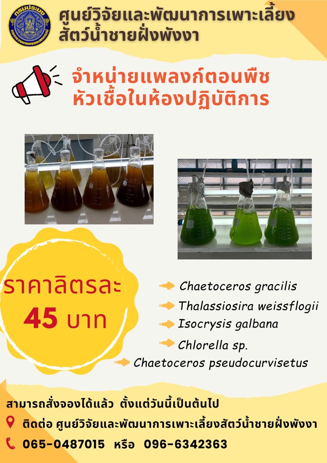 ประกาศ ศูนย์ฯมีแพลงก์ตอนพืชหัวเชื้อในห้องปฏิบัติการ จำหน่าย นะคะ รายละเอียดติดต่อด้านล่างได้เลยค่ะ..คลิก