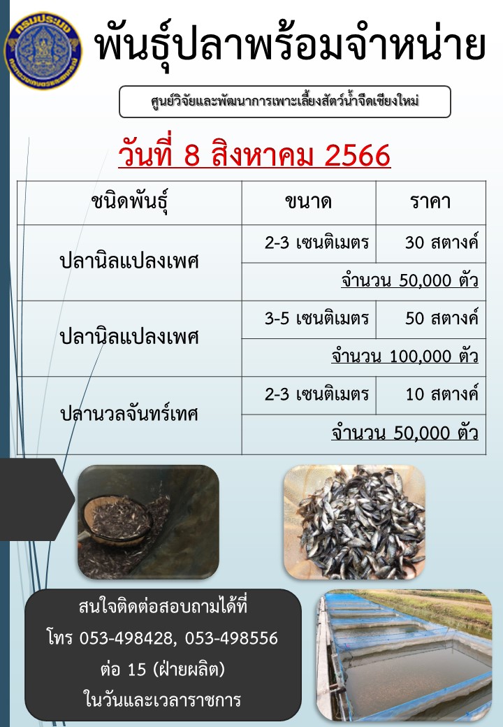 จำหน่ายพันธุ์ปลา วันที่ 8 สิงหาคม 2566