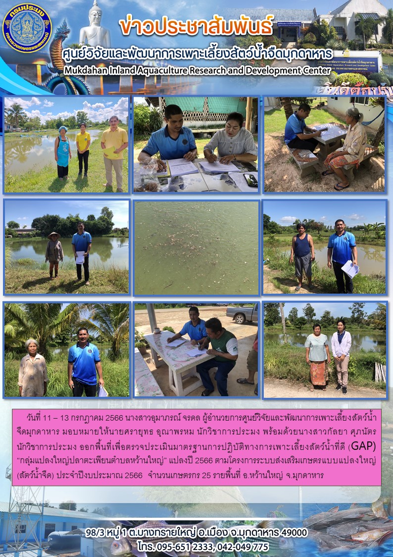 ออกพื้นที่เพื่อตรวจประเมินมาตรฐานการปฏิบัติทางการเพาะเลี้ยงสัตว์น้ำที่ดี (GAP)                   “กลุ่มแปลงใหญ่ปลาตะเพียนตำบลหว้านใหญ่” แปลงปี 2566 ตามโครงการระบบส่งเสริมเกษตรแบบแปลงใหญ่ (สัตว์น้ำจืด) ประจำปีงบประมาณ 2566  จำนวนเกษตรกร 25 รายพื้นที่ อ.หว้านใหญ่ จ.มุกดาหาร..คลิก