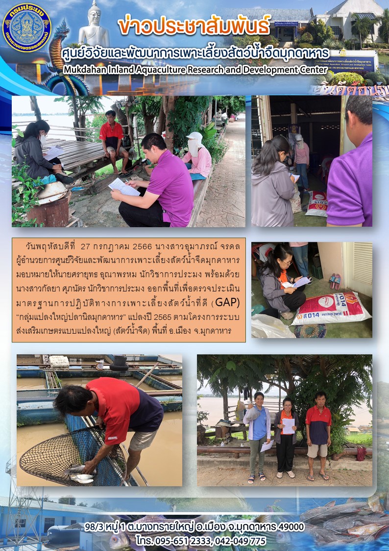 ออกพื้นที่เพื่อตรวจประเมินมาตรฐานการปฏิบัติทางการเพาะเลี้ยงสัตว์น้ำที่ดี (GAP)  “กลุ่มแปลงใหญ่ปลานิลมุกดาหาร” แปลงปี 2565 ตามโครงการระบบส่งเสริมเกษตรแบบแปลงใหญ่ (สัตว์น้ำจืด) พื้นที่ อ.เมือง จ.มุกดาหาร..คลิก