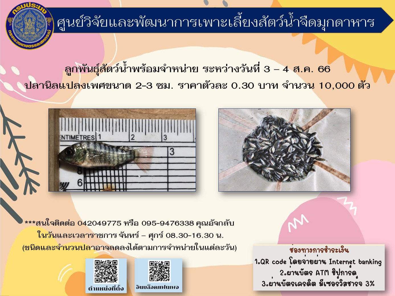 พันธุ์สัตว์น้ำที่พร้อมสำหรับจำหน่ายระหว่างวันที่ 3-4 สิงหาคม 2566..คลิก