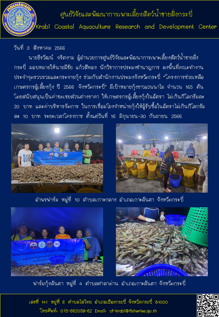 “โครงการช่วยเหลือเกษตรกรผู้เลี้ยงกุ้ง ปี 2566 จังหวัดกระบี่”