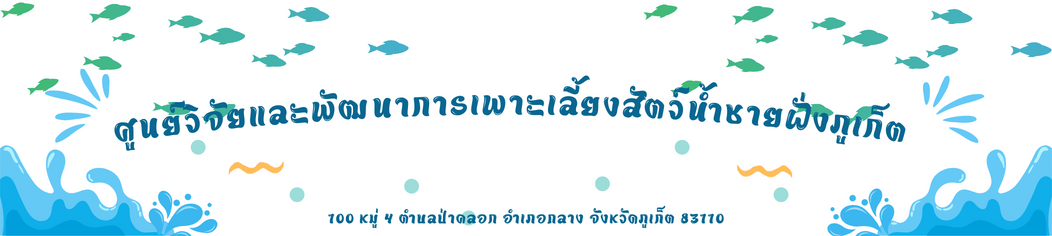 ปก..คลิก
