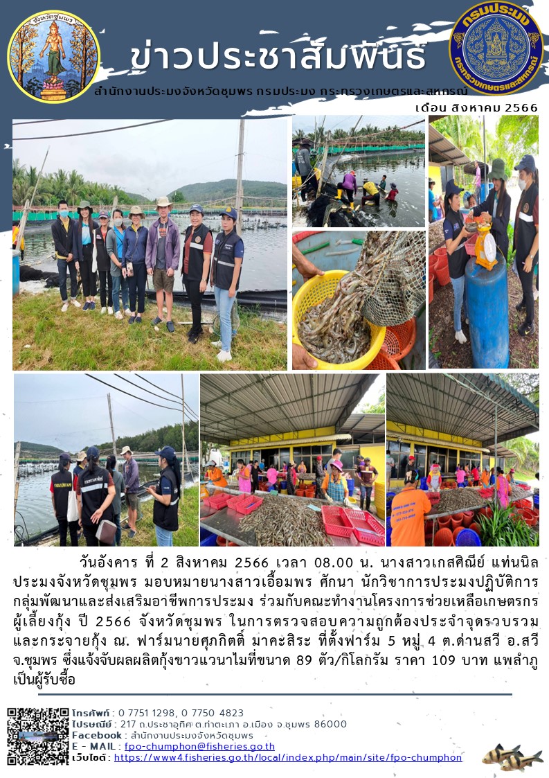 ร่วมกับคณะทำงานโครงการช่วยเหลือเกษตรกรผู้เลี้ยงกุ้ง ปี 2566 จังหวัดชุมพร ในการตรวจสอบความถูกต้องประจำจุดรวบรวมและกระจายกุ้ง..คลิก