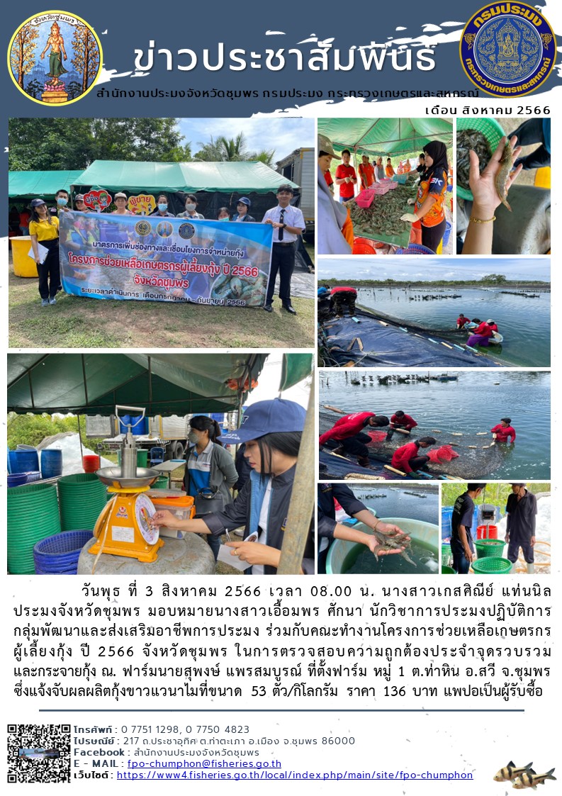 ร่วมกับคณะทำงานโครงการช่วยเหลือเกษตรกรผู้เลี้ยงกุ้ง ปี 2566 จังหวัดชุมพร ในการตรวจสอบความถูกต้องประจำจุดรวบรวมและกระจายกุ้ง..คลิก