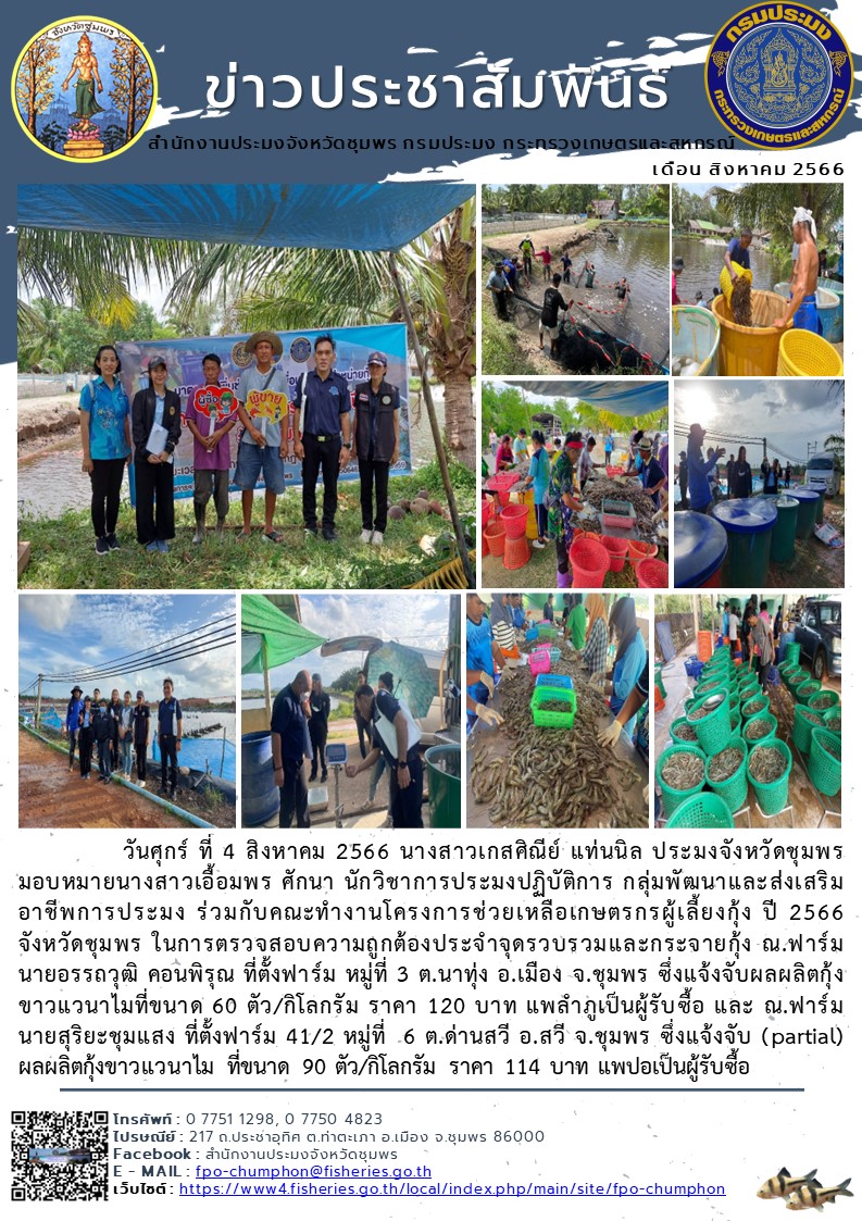 ร่วมกับคณะทำงานโครงการช่วยเหลือเกษตรกรผู้เลี้ยงกุ้ง ปี 2566 จังหวัดชุมพร ในการตรวจสอบความถูกต้องประจำจุดรวบรวมและกระจายกุ้ง..คลิก