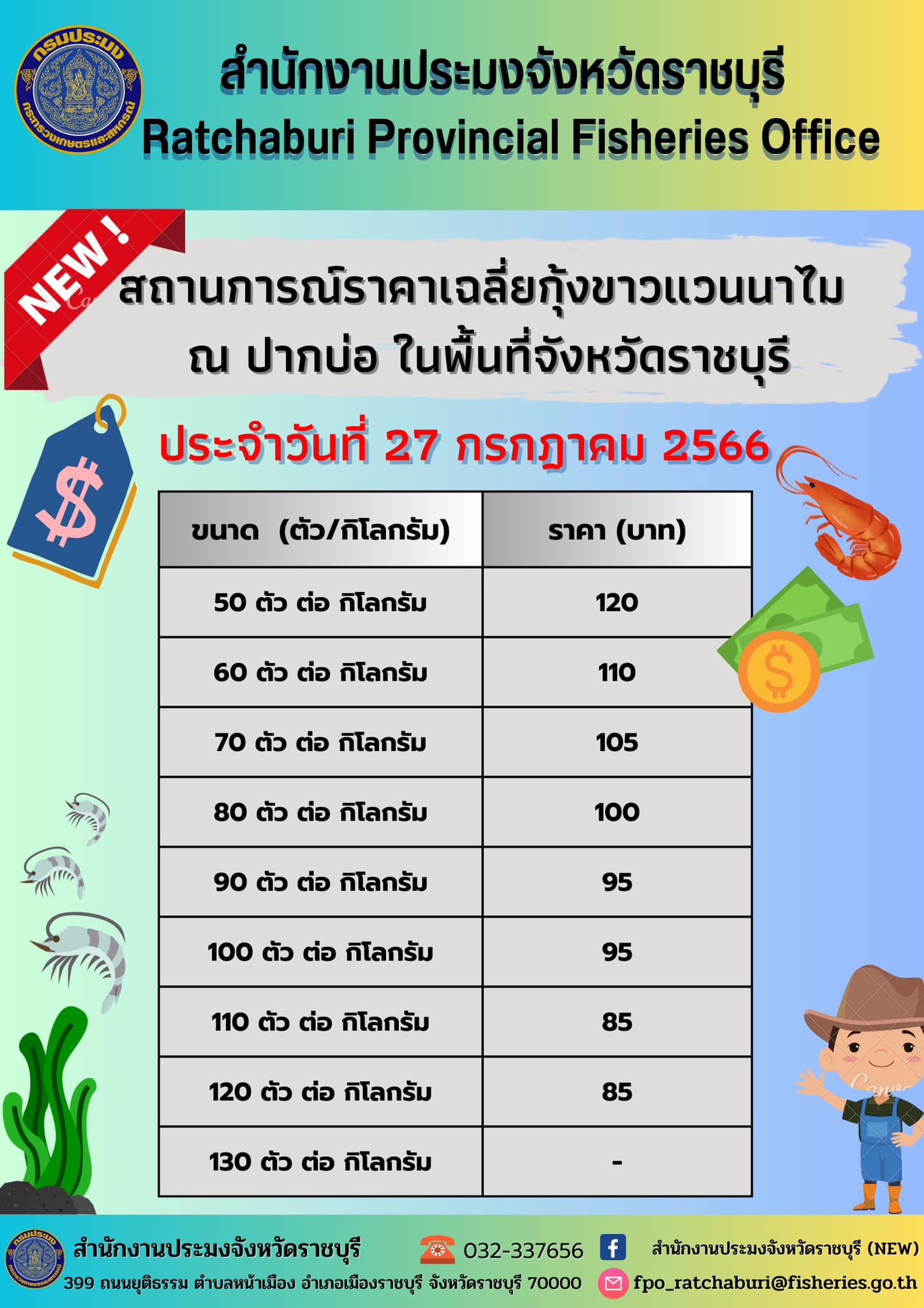 สถานการณ์ราคาเฉลี่ยกุ้งขาวแวนนาไม ณ ปากบ่อ ในพื้นที่จังหวัดราชบุรี ประจำวันที่ 27 กรกฎาคม 2566