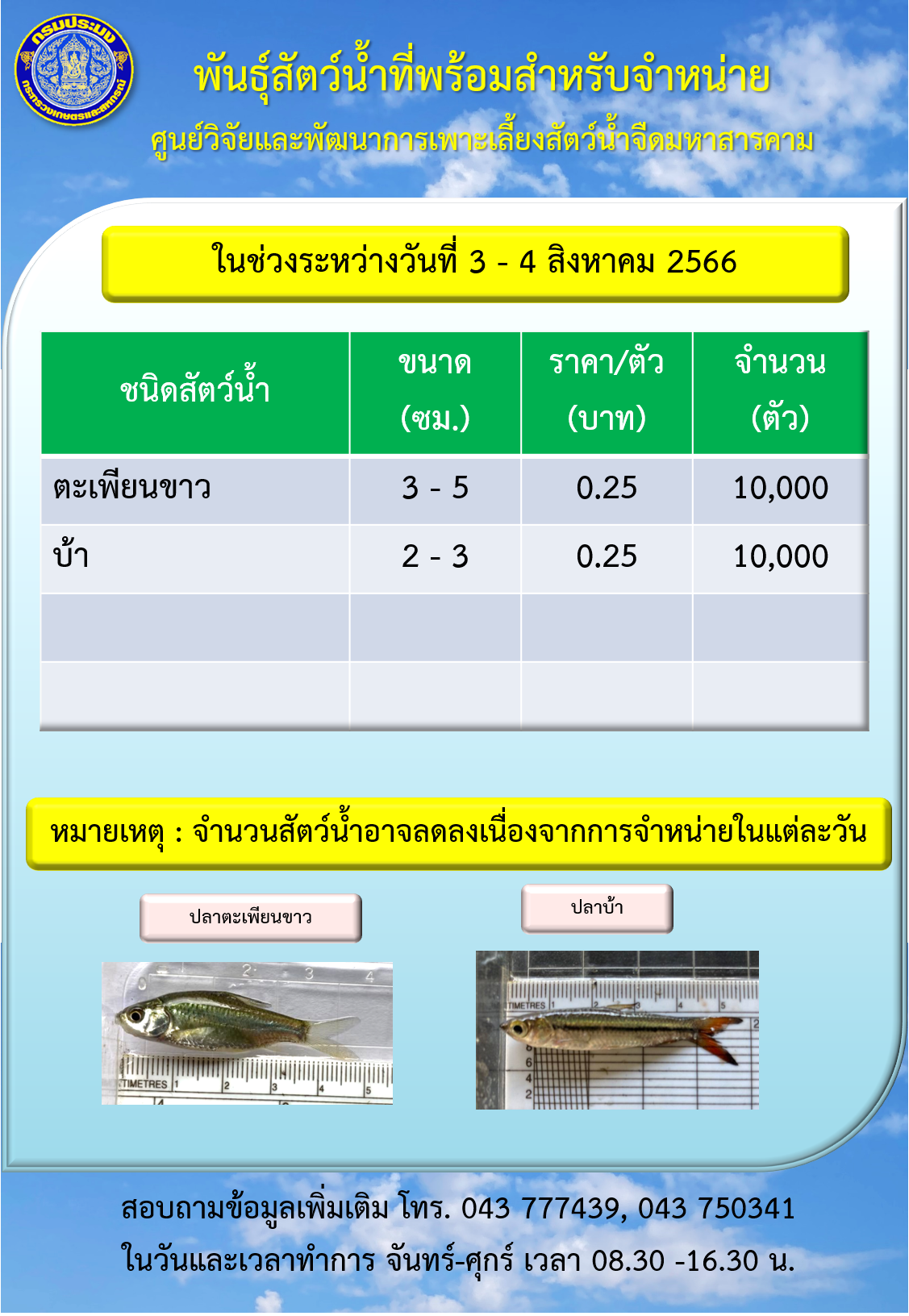 พันธุ์สัตว์น้ำที่พร้อมสำหรับจำหน่าย ระหว่างวันที่ 3 – 4 สิงหาคม 2566..คลิก