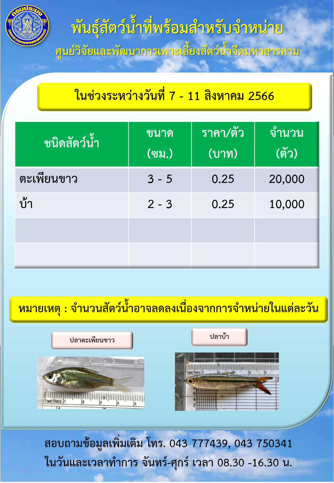 พันธุ์สัตว์น้ำที่พร้อมสำหรับจำหน่าย ระหว่างวันที่ 7 – 11 สิงหาคม 2566..คลิก